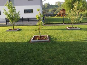 Pflasterverlag - Gartenumrandungen und Gartenbegrenzung mit Naturstein